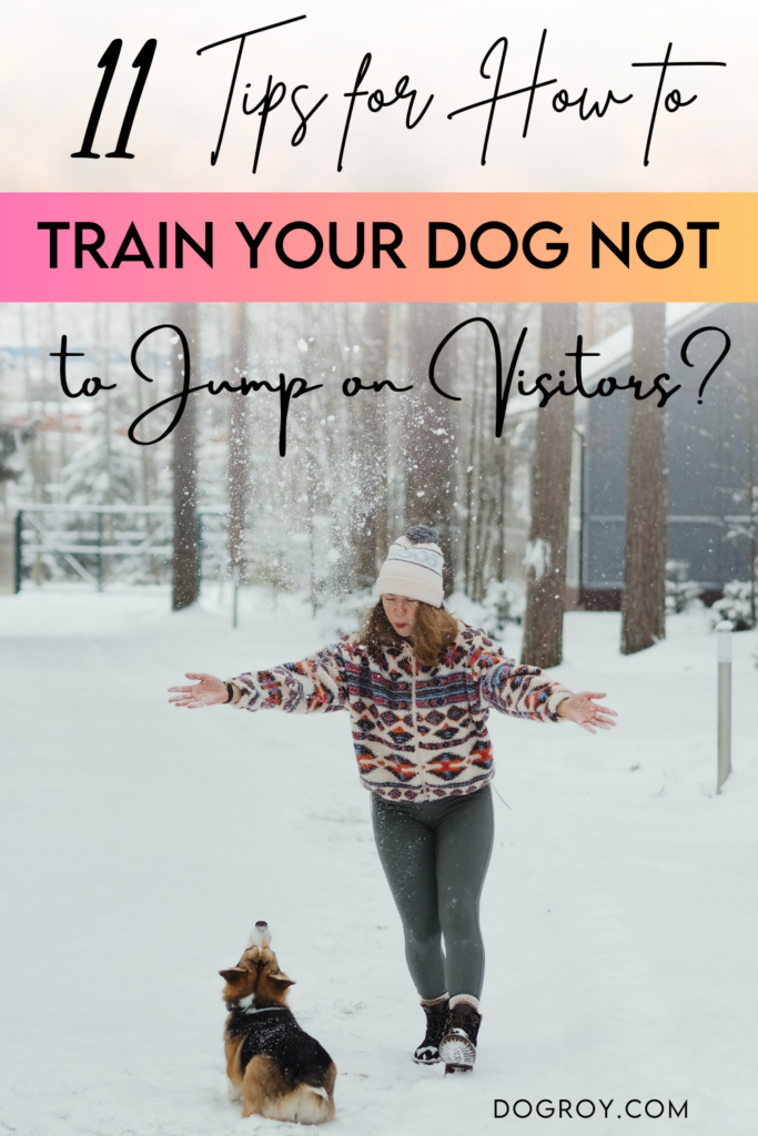 How to Train Your Dog Not to Jump on Visitors