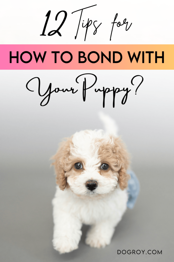 12 tips for how to bond with your puppy in the first week