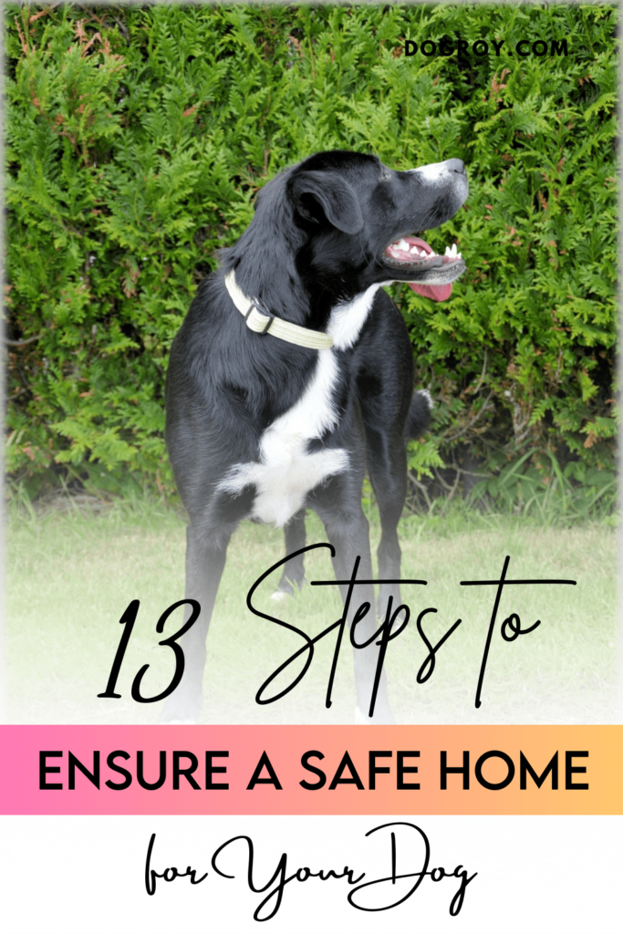 How to prepare your home for a dog