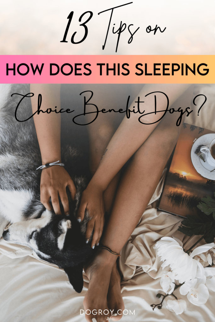 13 Tips to How Does This Sleeping Choice Benefit Dogs