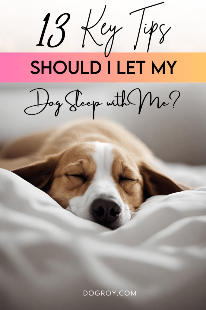 Should I Let My Dog Sleep With Me? 13 Key Tips
