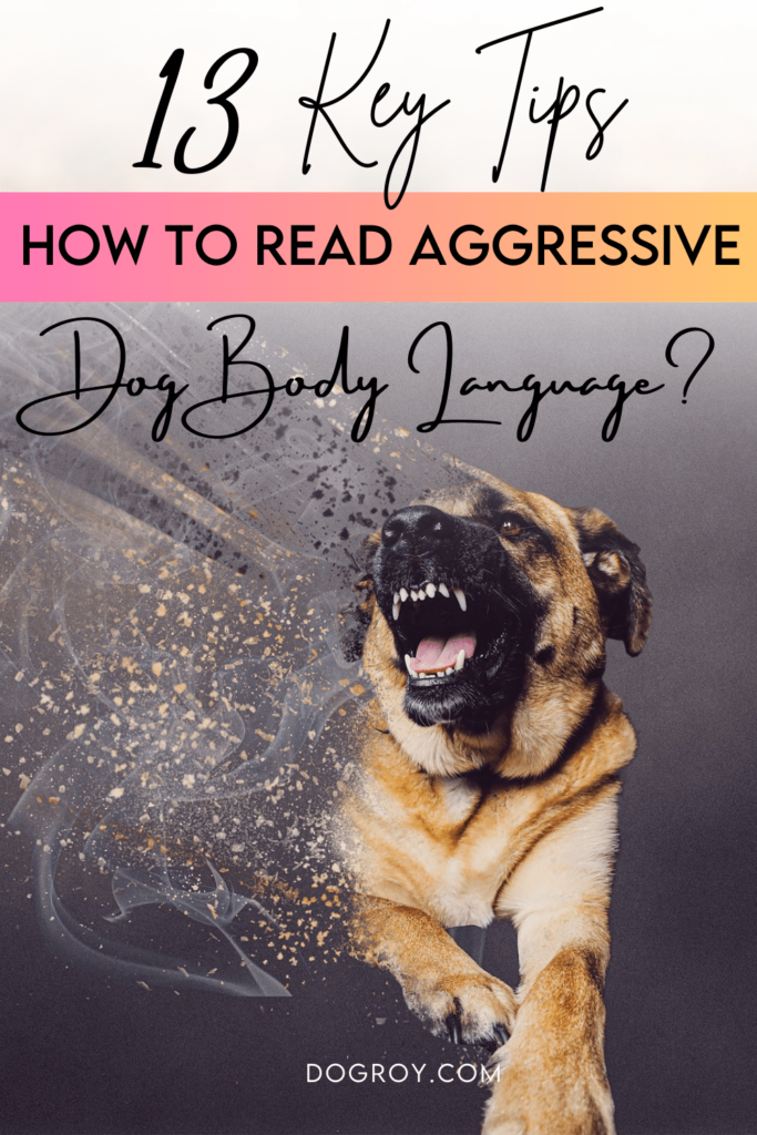 13 tips for how to read aggressive dog body language

