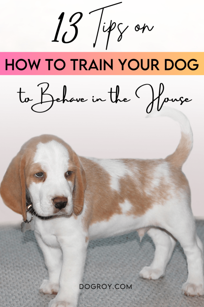 13 Tips on How to Train Your Dog to Behave in the House