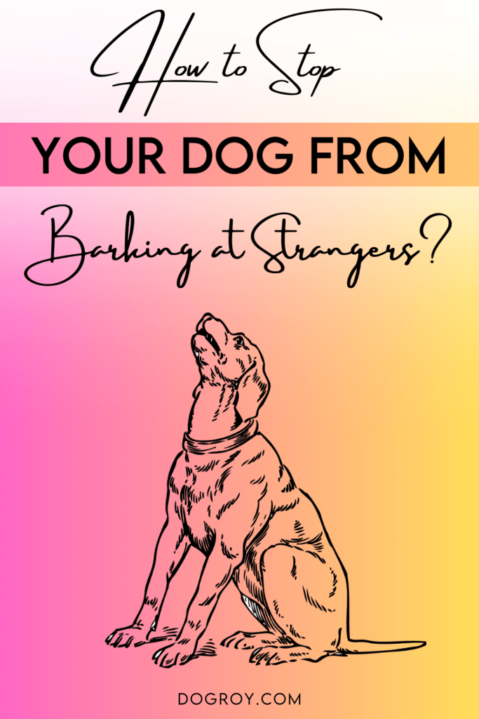 How to stop your dog from barking at strangers