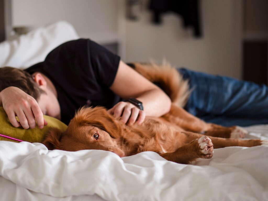 Tips for Perfect Dog Sleeping Positions with Owner