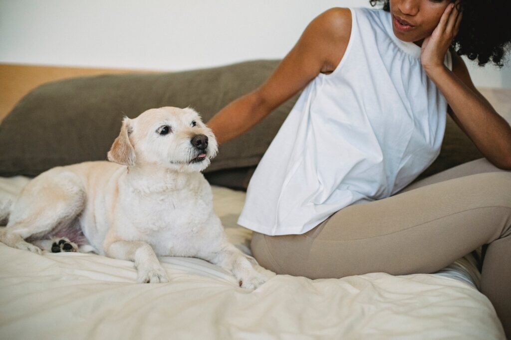 Why Does My Dog Sleep at My Head? - Unveiling the 12 Reasons