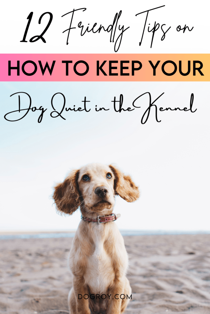 12 tips on how to keep your dog quiet in the kennel