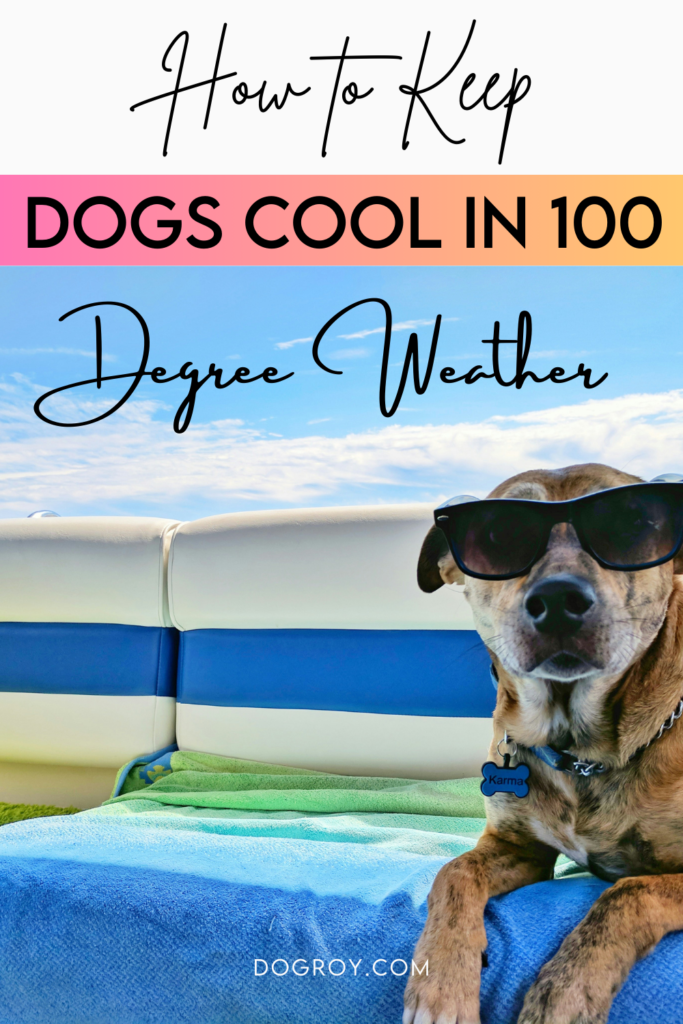 How to keep dogs cool in 100 degree weather - 12 tips