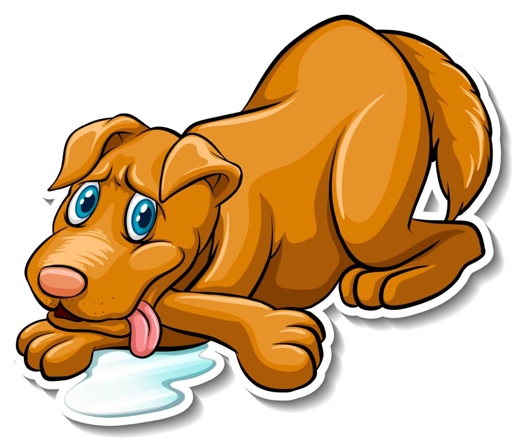 Why does my dog drink so much water at night