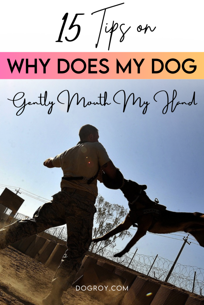 Why Does My Dog Gently Mouth My Hand?