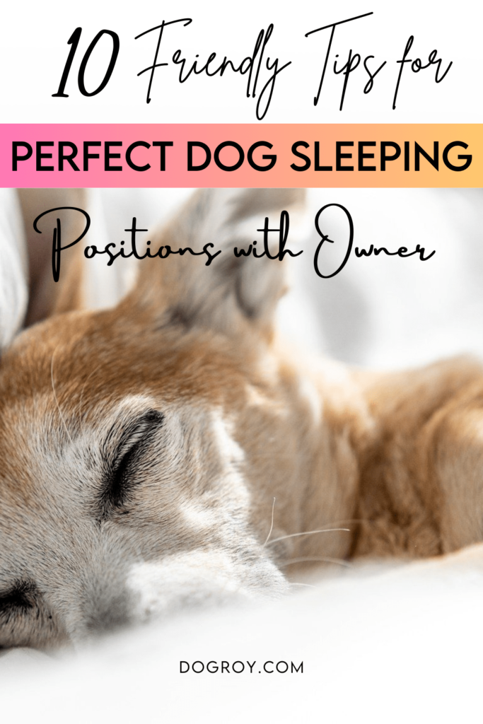 10 tips for perfect dog sleeping positions with owner