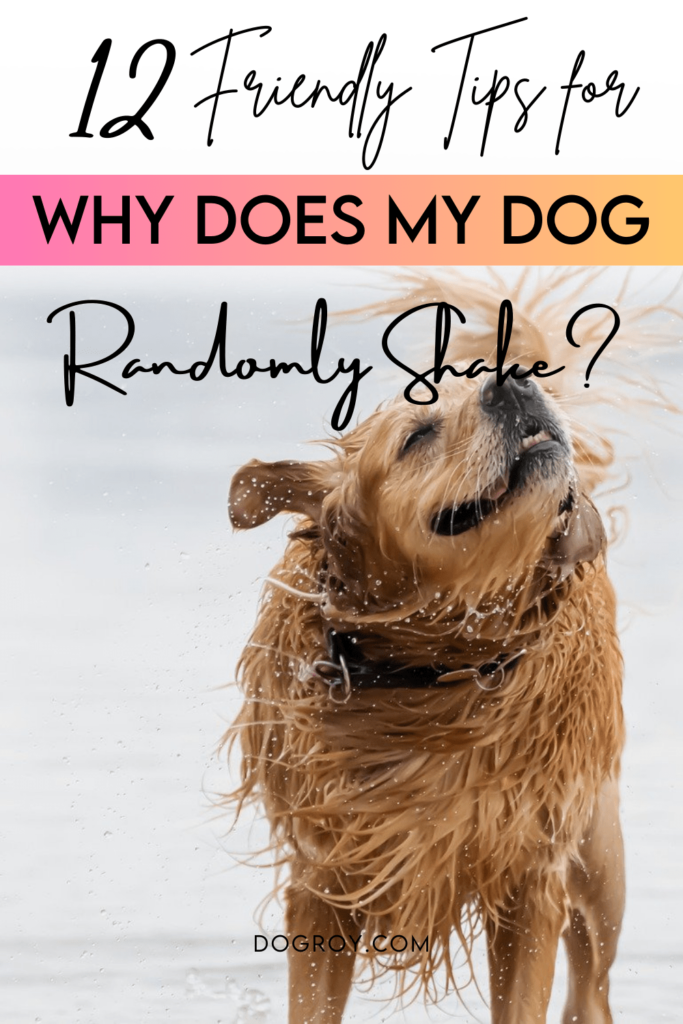 12 tips for why does my dog randomly shake