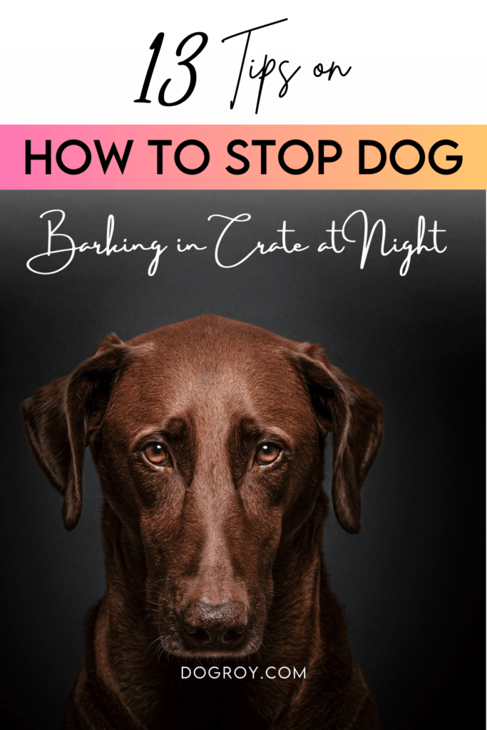 13 tips on how to stop dog barking in crate at night comprehensive guide