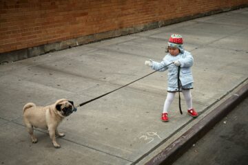 Dog Walking Tips For Conquering Leash Pulling