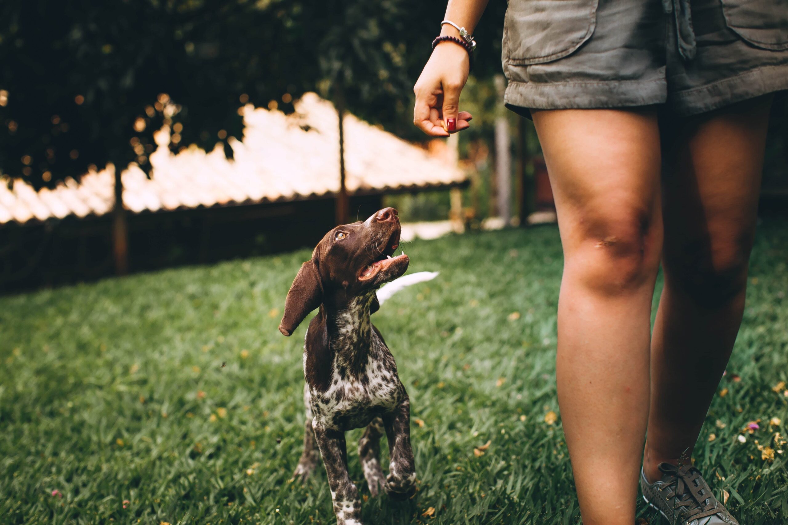 Heartwarming tips on how to connect with your puppy