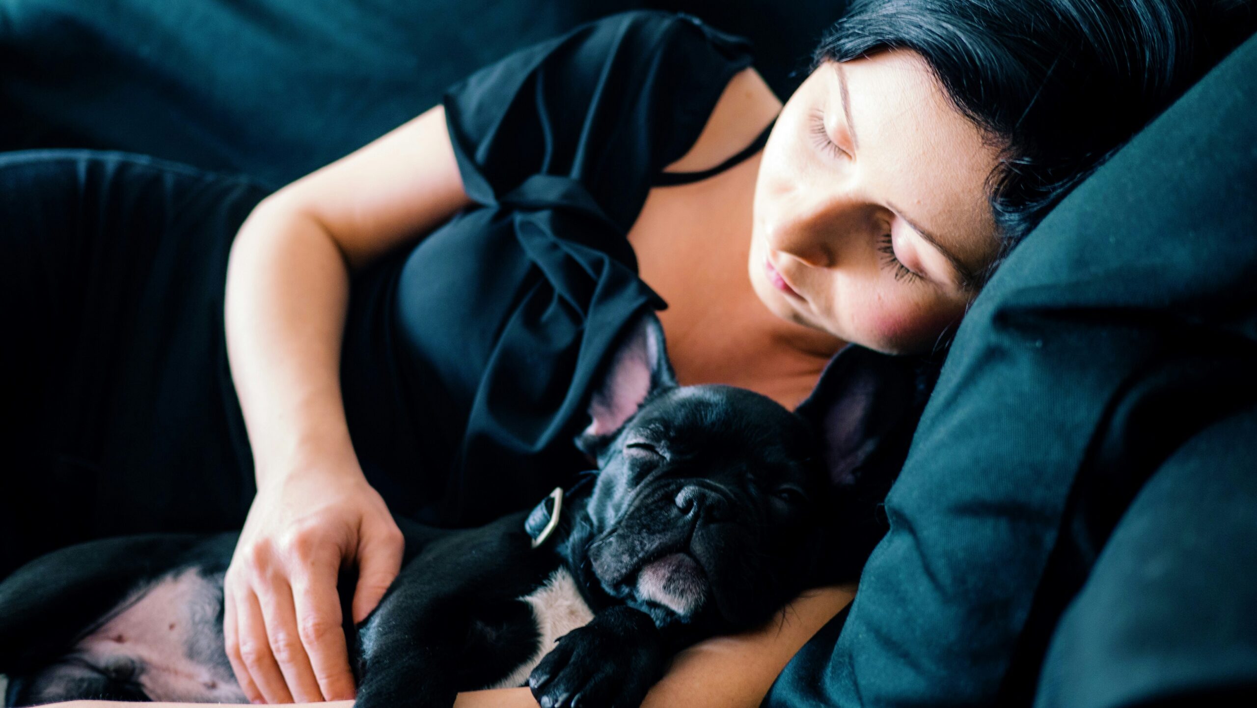 Sweet Dreams: Dog Sleeping Positions with Owner