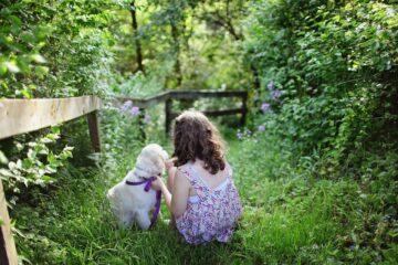 Your dog ignores your commands outside