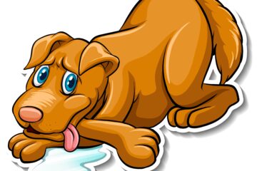 Why does my dog drink so much water at night