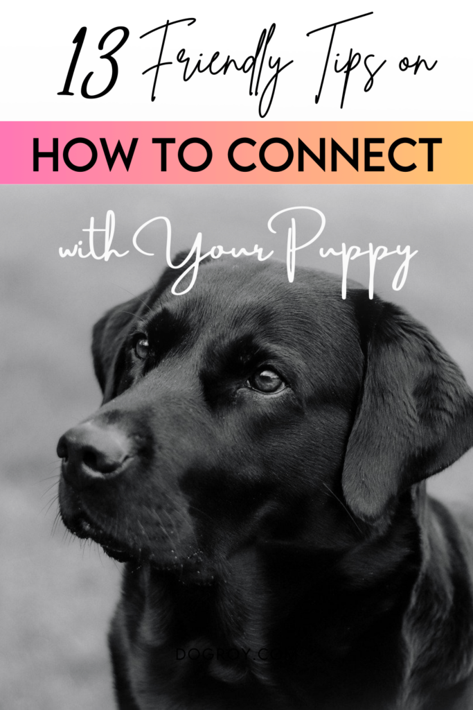 13 Heartwarming Tips on How to Connect with Your Puppy
