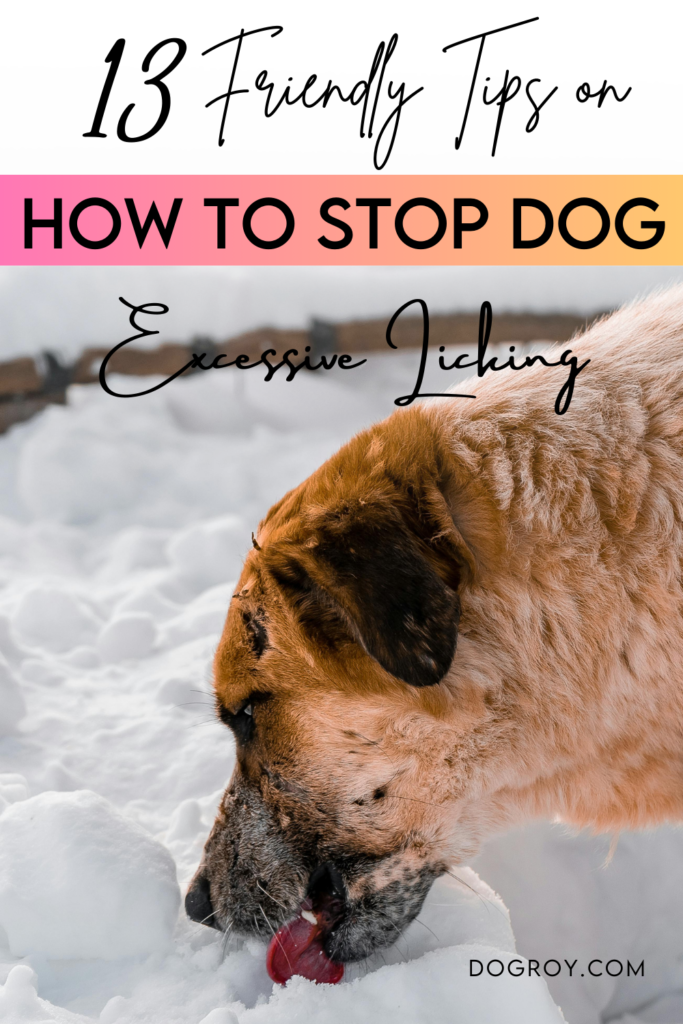 How to stop dog's overzealous licking putting an end to excessive licking