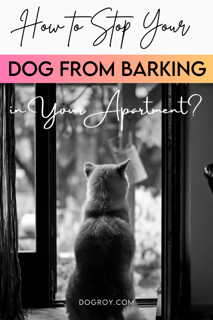 12 tips on how to stop your dog from barking in your apartment
