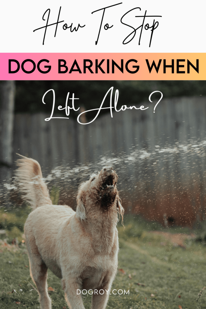 13 tips on how to stop dog barking when left alone